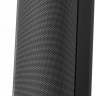 Беспроводная портативная акустика Sony SRS-XV500, черный