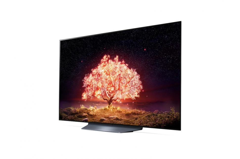 Телевизор LG OLED55B1RLA 2021 OLED, HDR, серый
